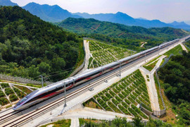 Đề xuất thành lập Tập đoàn đường sắt quốc gia Việt Nam