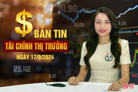 Tài chính thị trường ngày 17/9: Dự báo biến động giá gạo từ nay đến cuối năm