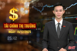 Tài chính thị trường ngày 16/12: Gạo Việt “rớt giá” khi thị trường lớn nhất tạm ngưng nhập khẩu
