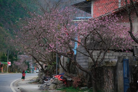 Khởi hành năm mới với những điểm du lịch miền Bắc hấp dẫn