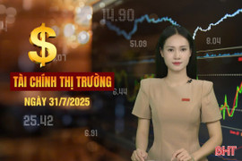 Tài chính thị trường ngày 31/7: Giá xăng dầu hôm nay tăng hay giảm?