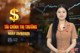 Tài chính thị trường ngày 20/8: 100 doanh nghiệp tư nhân nộp ngân sách 244.400 tỷ đồng