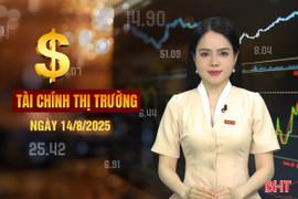 Tài chính thị trường ngày 14/8: Hơn 3 triệu tấn hàng thông qua cảng Vũng Áng