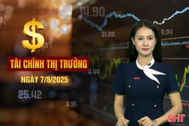 Tài chính thị trường ngày 7/8: Hà Tĩnh đấu giá 15 lô đất, khởi điểm tới 88 triệu/m²