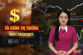 Tài chính thị trường ngày 20/10: Đấu giá đất rồi bỏ cọc có thể bị cấm tham gia đến 5 năm