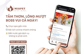 Tra cứu dịch vụ thú cưng - thói quen mới của “sen” hiện đại