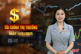 Tài chính thị trường ngày 12/11: Đề xuất giảm giấy phép kinh doanh 25 ngành, nghề 