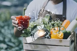 Nhà Bè Agri: Nền tảng số chuyên cập nhật các dữ liệu thị trường nông sản