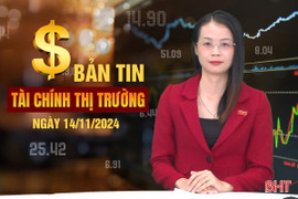 Tài chính thị trường ngày 14/11: Giá USD ngân hàng lập đỉnh, vàng lại "rơi tự do"