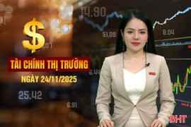 Tài chính thị trường ngày 24/11: VinFast Hà Tĩnh xuất xưởng 8.580 xe điện sau 3 tháng vận hành