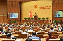 Khẳng định vai trò cơ quan dân cử trong kỷ nguyên vươn mình của đất nước