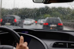 Nằm lòng 5 bí kíp để bảo vệ ô tô khỏi cây đổ, ngập nước