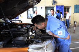 Hướng dẫn cách tra cứu giấy chứng nhận kiểm định điện tử từ ngày 1/3