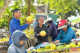 Độc đáo khu chợ ở Hà Tĩnh chỉ bán "đệ nhất danh quả"