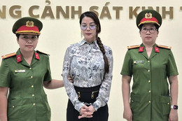 Diễn viên Trương Ngọc Ánh bị bắt
