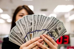 Tỷ giá USD hôm nay 29/6/2025: Cơ bản ổn định