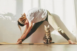 Giúp "đẩy lùi" mỡ máu từ những việc làm mỗi sáng