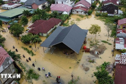 Cảnh báo mối đe dọa từ những nội dung giả mạo về thiên tai do AI tạo ra