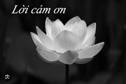 Lời cảm ơn