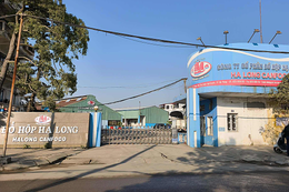 Tổng giám đốc Công ty Đồ hộp Hạ Long bị bắt trong vụ thịt heo nhiễm bệnh