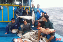 Ngư dân đầu tư tàu lớn, phấn khởi vươn khơi