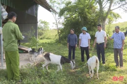 Đức Thọ - hiệu quả từ những mô hình sinh kế