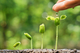 Trân trọng sự sống...