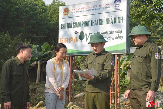 Làm giàu rừng tự nhiên bằng 159 tỷ đồng do ERPA chi trả