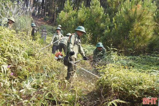 Quyết liệt ngăn cháy rừng phòng hộ sông Ngàn Phố
