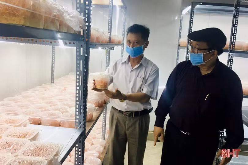 Nâng tầm sản phẩm công nghiệp nông thôn Hà Tĩnh