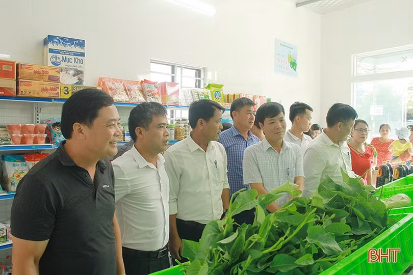 Nghi Xuân khai trương cửa hàng thực phẩm sạch thứ 5