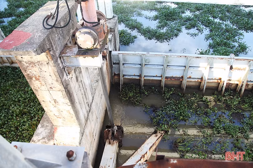 Gần 10 tỷ đồng sửa chữa, thay thế các hạng mục hư hỏng của bara Đò Điệm