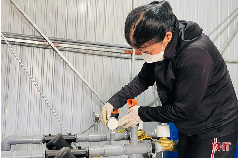 Nông dân Lộc Hà đa dạng hóa cây trồng vụ đông