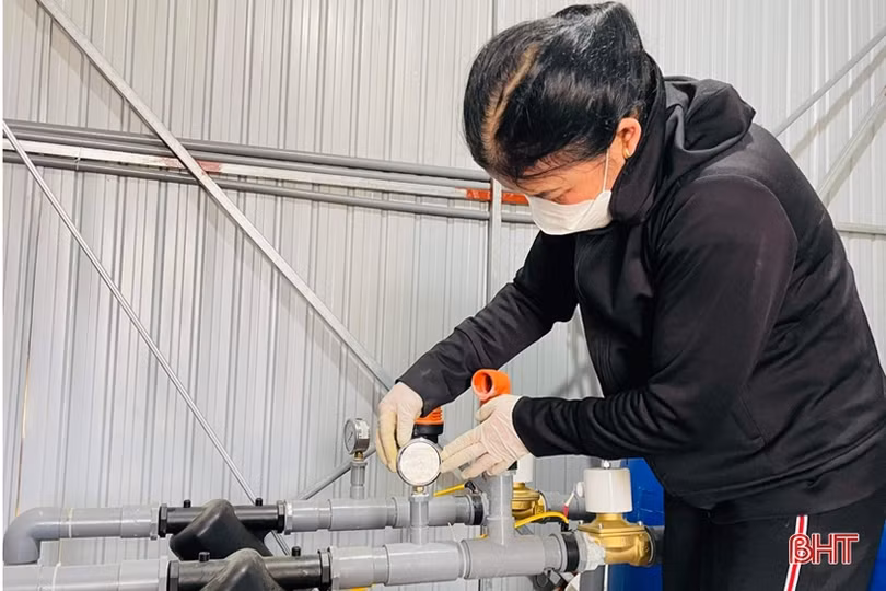 Nông dân Lộc Hà đa dạng hóa cây trồng vụ đông