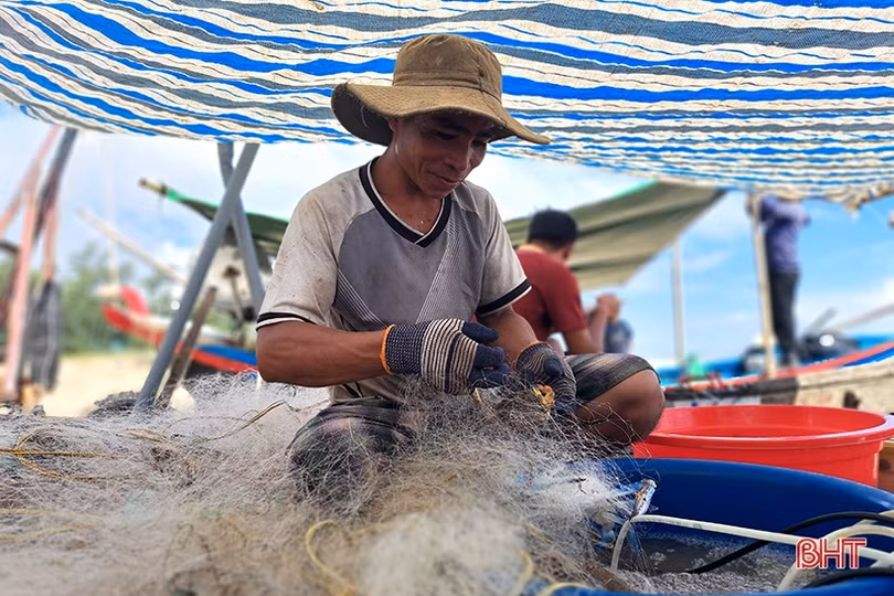 Ngư dân Xuân Yên vui mừng trúng ghẹ sau ngày biển động