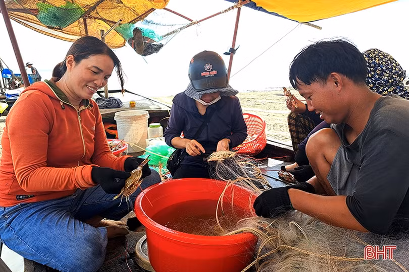 Ngư dân Xuân Yên vui mừng trúng ghẹ sau ngày biển động
