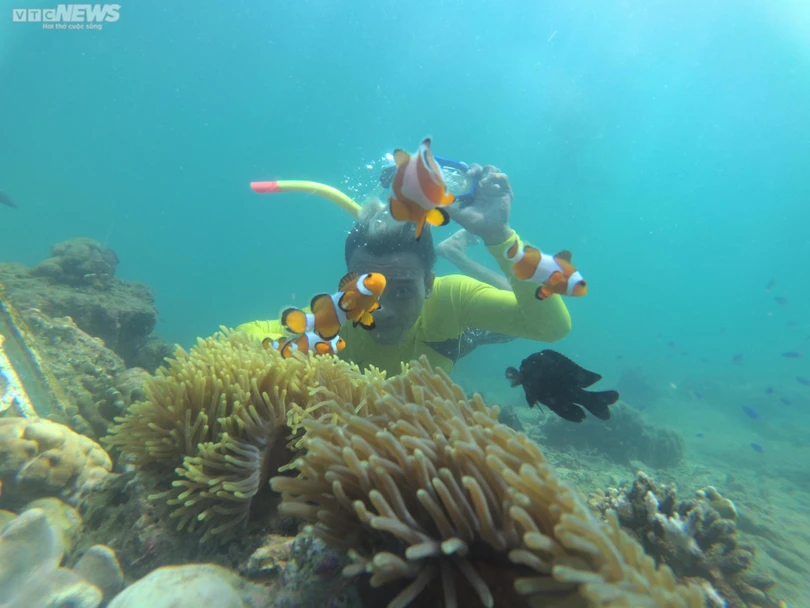 Những bức ảnh rác thải nhựa đại dương của các tác giả nước ngoài