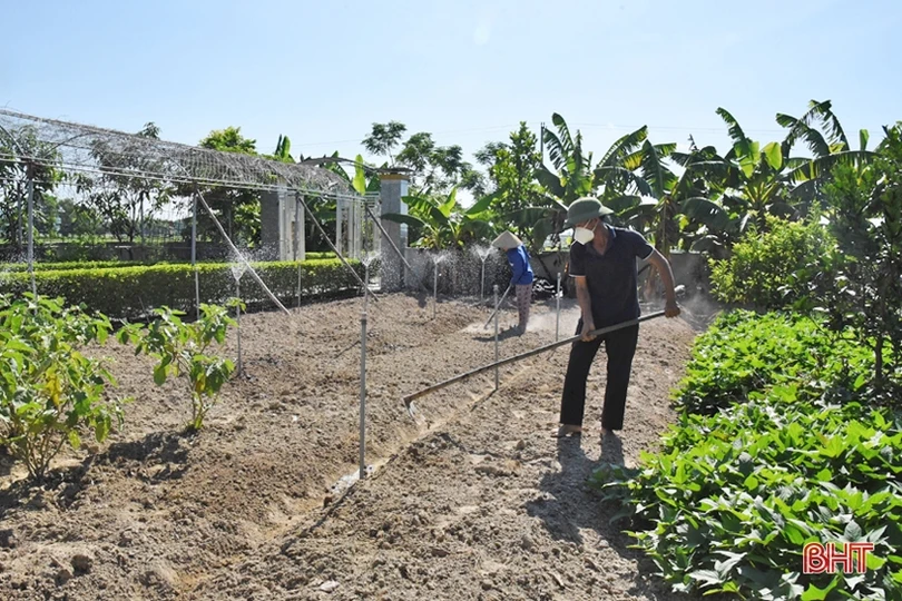 Nông dân Lộc Hà đa dạng hóa cây trồng vụ đông