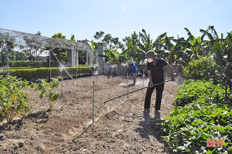 Nông dân Lộc Hà đa dạng hóa cây trồng vụ đông