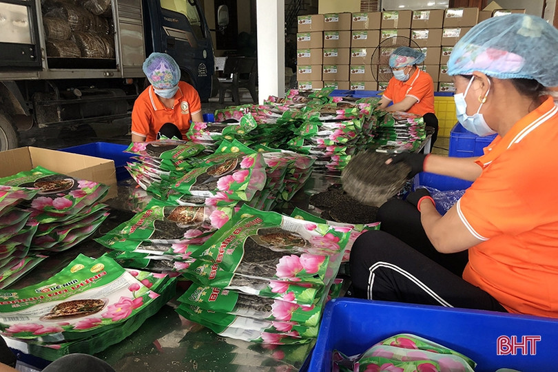 Chuyển đổi số “chắp cánh” cho sản phẩm OCOP Hà Tĩnh bay xa