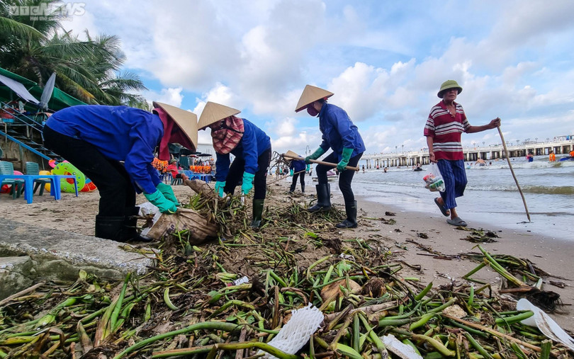 Những bức ảnh rác thải nhựa đại dương của các tác giả nước ngoài