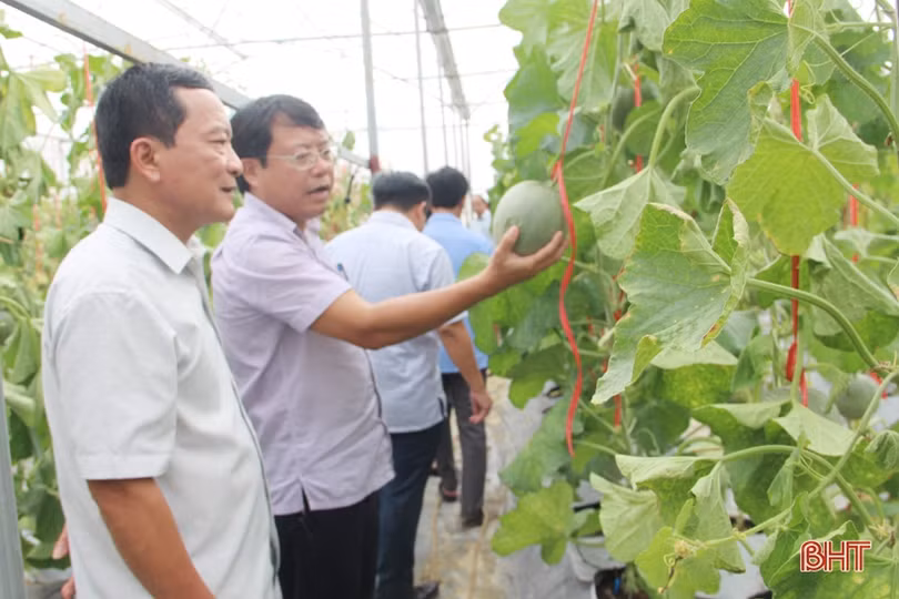 HĐND tỉnh giám sát chuyên đề xây dựng nông thôn mới tại các địa phương