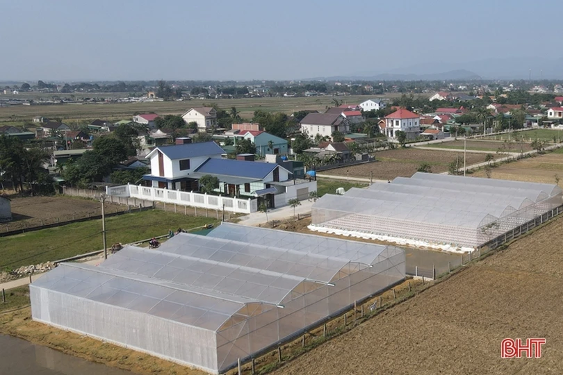 Nông dân Lộc Hà đa dạng hóa cây trồng vụ đông