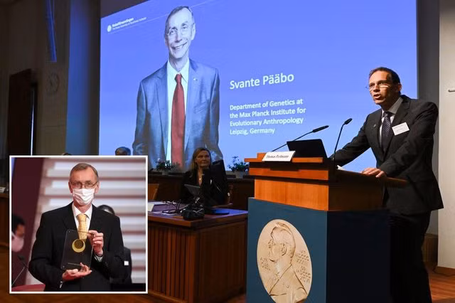 Giải Nobel Y sinh 2022 vinh danh khám phá về gene và sự tiến hóa loài người