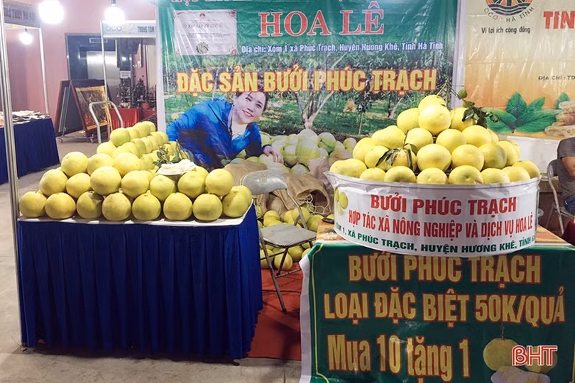 Nỗ lực đưa bưởi Phúc Trạch vào các thị trường cao cấp