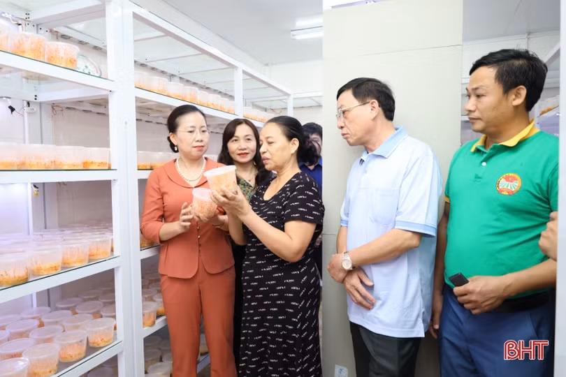 Đoàn công tác Hội Nông dân Việt Nam ấn tượng với các mô hình khởi nghiệp ở TX Kỳ Anh