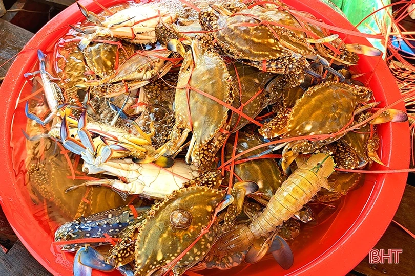 Ngư dân Xuân Yên vui mừng trúng ghẹ sau ngày biển động