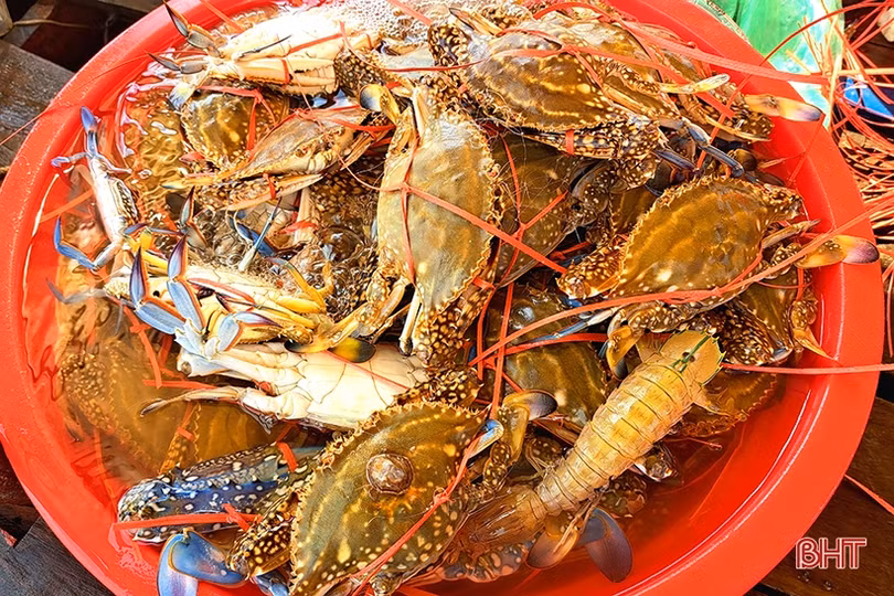 Ngư dân Xuân Yên vui mừng trúng ghẹ sau ngày biển động