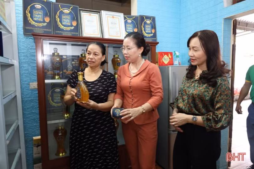 Đoàn công tác Hội Nông dân Việt Nam ấn tượng với các mô hình khởi nghiệp ở TX Kỳ Anh