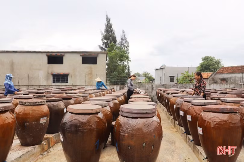 Vì sao dư nợ ngân hàng của các hợp tác xã ở Hà Tĩnh đạt thấp?